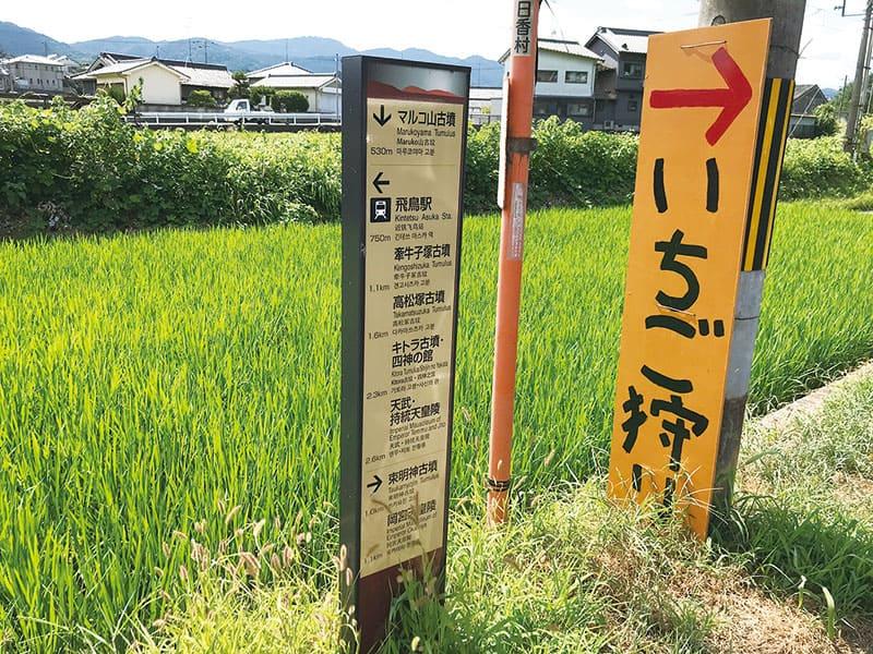 マルコ山道標