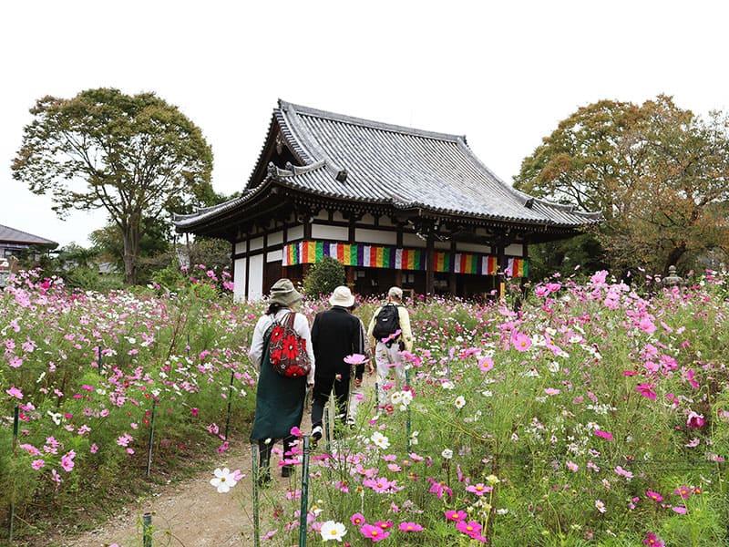 般若寺